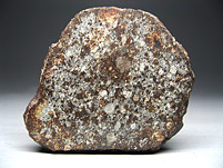 Steinmeteorit, NWA 869, Sahara